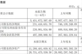 3年花了5700多万元“买酒水”，步长制药高额销售费引质疑 | 大鱼财经图片