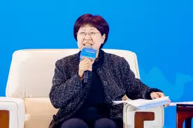 专访西安交通大学教授杨琳：赓续丝路精神  讲好中国故事图片
