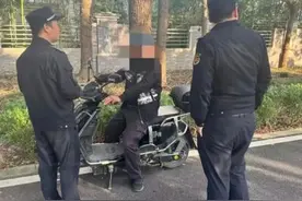 【以案释法】乱抛垃圾，小案子见大文章图片
