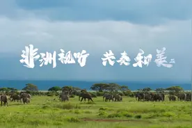 尼日利亚图片