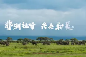 尼日利亚图片