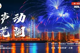 芜湖人记忆里的年味零食图片