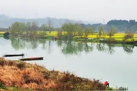 春风又绿江南岸图片