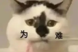 “上海崇明”App图片
