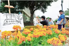 南科大今年新增4个专业图片