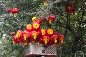 挂灯笼，迎新春，年味渐浓图片