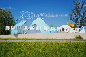 山东青岛：示范片区引领，乡村全域振兴图片