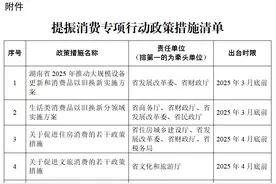 重磅！《湖南省提振消费专项行动方案》来了图片