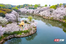 湖南春季赏花指南：漫步三湘四水，邂逅繁花盛景图片