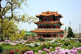春天总要去一趟菏泽：看牡丹寻国色，访水浒古城圆“英雄梦”图片