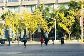 消费券让年味更浓：黔西南州启动2025新春年货节消费券图片