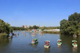 收藏！北京放风筝宝藏地，这里全年都适宜图片