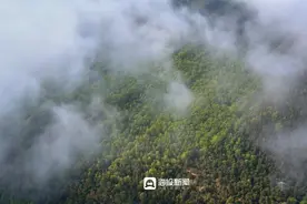 日照平流雾景观：云海翻腾，宛如仙境图片