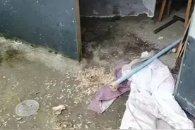 男子为救妻击杀黑熊，熊尸体已移交高校图片