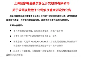 涉14块“毒地”！陆家嘴索赔百亿背后：耗时7年的项目沦为空城，仍有业主不愿离开图片