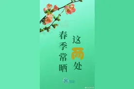春季常晒这两处，补充阳气，强身健体图片