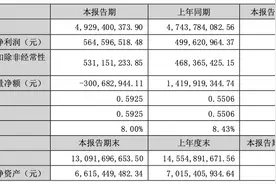 索菲亚上半年净利润5.65亿元 同比增长13%图片
