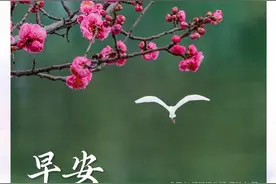 一帧中国丨锦江春色来天地（2025年2月19日）图片