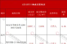 温州苍南和台州临海底价成交 自然人竞得瑞安宅地图片