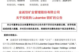 1美元，买矿山！天上掉馅饼了？图片