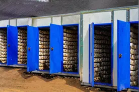 四川攀枝花米易：智能设备化身“贴心管家” 菌菇住进“恒温豪宅”图片