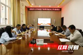 永定区召开省级中小学知识产权教育试点工作座谈会图片
