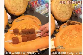 新疆版Jellycat走红网络！网友惊呼：买不完，根本买不完图片