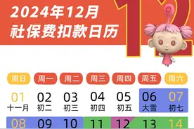 2024年12月社会保险费征缴时间安排看这里图片