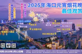 时隔13年！海口烟花秀回归图片