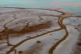 黄河三角洲滨海盐碱地可持续利用的水土资源约束与均衡配置策略丨中国工程科学图片