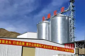 从武汉黄陂到西藏山南，他的企业填补了雪域高原规模化蛋鸡养殖的空白图片