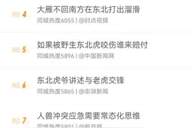 今日热榜｜大爷和东北虎“火”出国了！图片