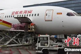 比利时布鲁塞尔直飞上海航线复航图片