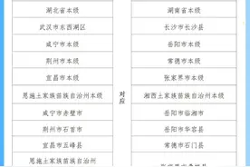 正在试点！湖北湖南多地社保实现互联互通图片