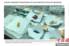 澳大利亚华媒：赴澳旅游千万注意这些事，否则签证可能被取消图片
