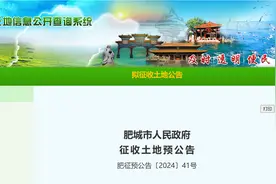 每公顷最高补偿100.5万元！泰安一地拟征收土地，用于交通运输图片
