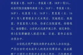 警方通报：张某某、胡某某、李某某被抓图片
