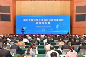 湖北首批科技型企业知识价值信用贷款集中发放图片