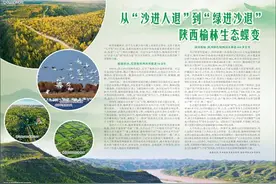 从“沙进人退”到“绿进沙退”  陕西榆林生态蝶变图片