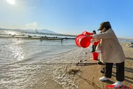 平潭开展2024中国鲎增殖放流活动图片