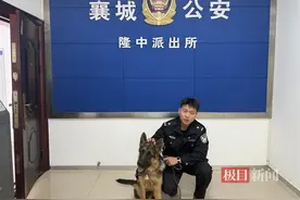 爱犬丢失竟是路人“偷梁换柱”，民警反复查看监控帮助找回图片