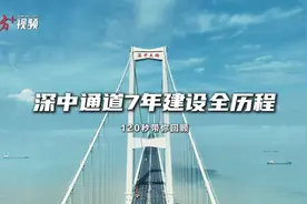 10项世界之最！120秒回顾深中通道7年建设图片