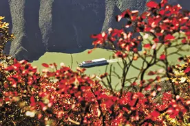 巫山红叶次第红图片