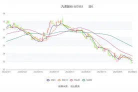 丸美股份：2024年上半年净利润1.77亿元 同比增长35.09%图片