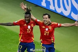 西班牙欧洲杯冠军图片