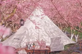 这些露营好去处，带你走进江西的春天图片