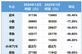 多家新势力车企1月销量数据出炉，车市出现短暂空窗期图片