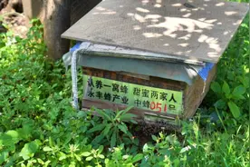 一村一品 点亮宜良乡村振兴路图片