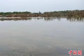 （乡村行·看振兴）江西南昌：推进稻虾综合种养 走出生态致富路图片