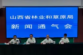 山西林草局：“放管服”改革显成效，营商环境再升级图片